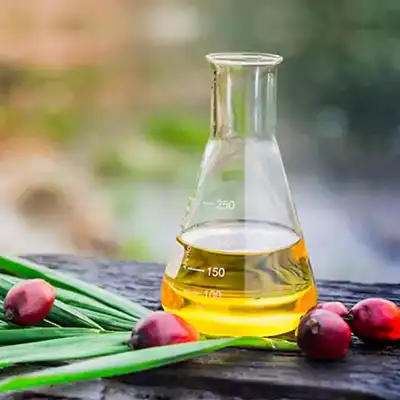 Oleochemicals