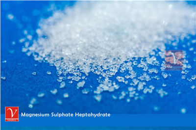 Magnesium Sulphate Heptahydrate  / Epsom salt