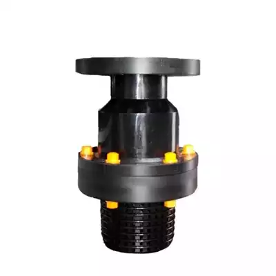 PP Foot Valve